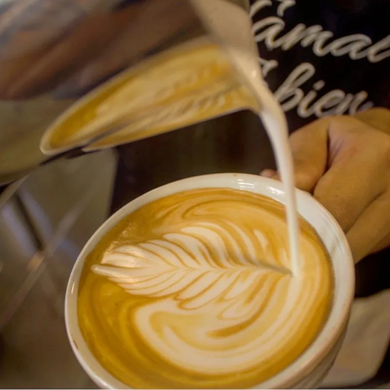 Latte | 8 Oz