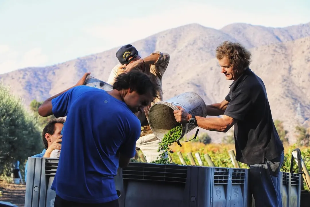 Publicación de Instagram 2