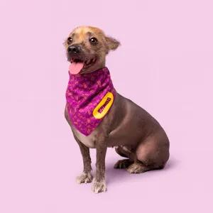 Bandana Para Mascotas Tambo Morado