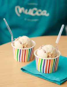 Combo Gelatos 1 sabor