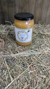 Miel Ulmo Aurea 1 Kg