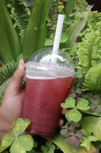 Te Frio Oolong Frutos Rojos 10 oz