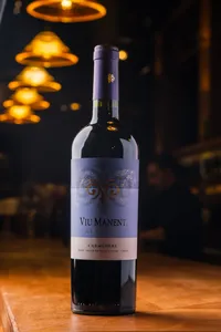 Viu Manent Reserva CA