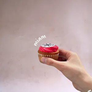 Cupcake araña