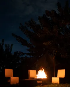 Kit Moara x Felicidad