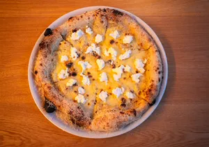 Cheese Addiction