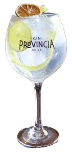 Gin Joyazo