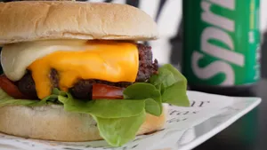 Dra a la Mayo Vegetariana