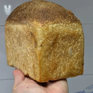 Molde blanco masa madre