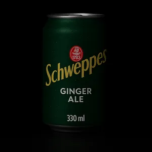 Schweppes Original 310ml