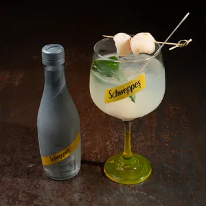 Soda Italiana Lyches