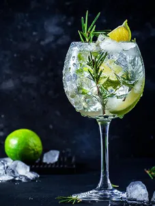 Gin Tonic