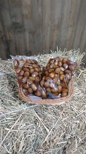 Aceituna Verde, Valle De Til Til 500 Gr