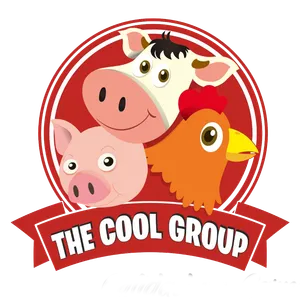 Logo de Cool Group