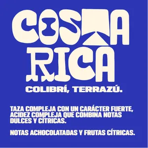 Costa Rica | Colibrí, Terrazú