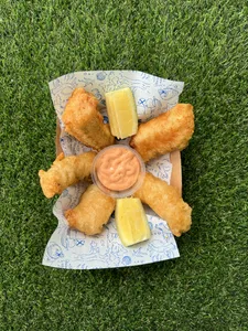 Fish Box S