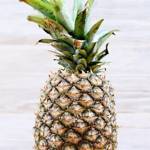 Piña Colada