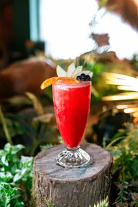 SAFARI JUICE