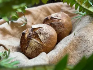 Pan de Campo