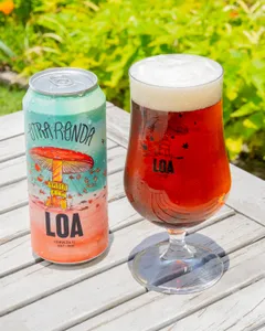 Loa Otra Ronda Amber Ale - Schop 500cc