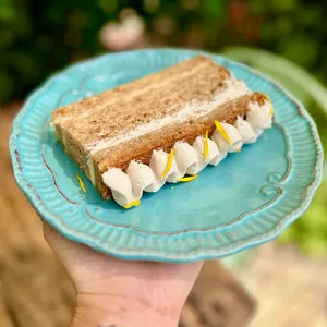 Trozo Torta Cuatro Leches Vegana APLV, Sin Soya, Vegana