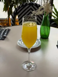 Mimosa