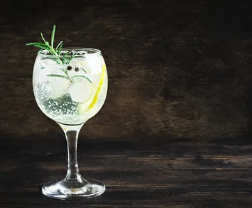 Gin Tonic