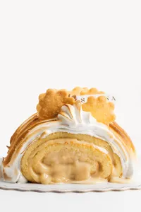 Porción de Brazo de Reina