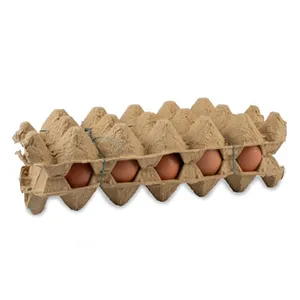 Huevos Criollos X 15