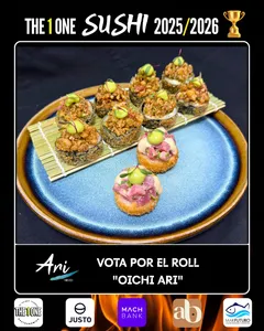 AA THE 1ONE "OICHI ARI"