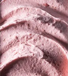 Sorbet Frutilla sin Azúcar