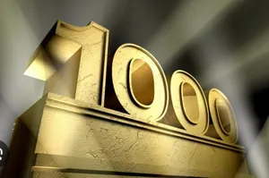 SUSHSIBURGUER CHICKEN FURAY 1.000