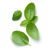 Albahaca (Adición)