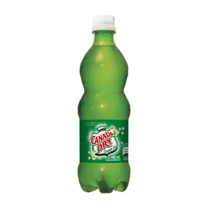 GINGER ALE 600ML