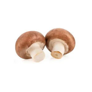 CHAMPIÑON PORTOBELLO KG