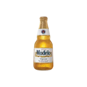 MODELO