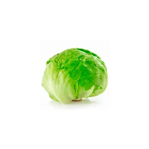 LECHUGA ESCAROLA (1 UN)