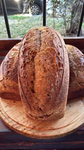 MOLDE 100% INTEGRAL Masa Madre