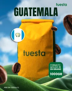 Guatemala | Huehuetenango 1000 GR