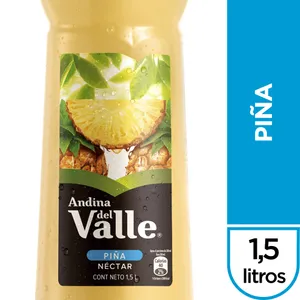 Andina Piña