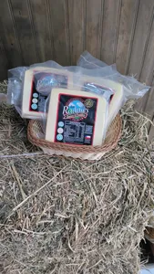 Quesos Mantecoso Laminado Los Radales 400 Gr