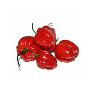AJI ROCOTO 100 GR