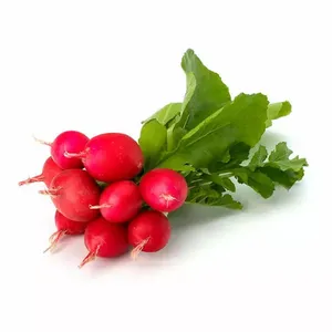 Rabanitos 500gr