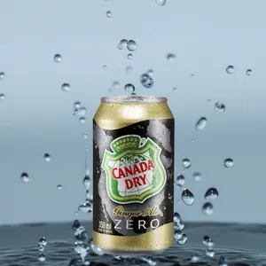 Canada Dry Ginger Ale Zero lata