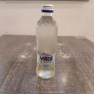 Agua Vital con gas - 330cc