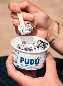 Helado Pudú