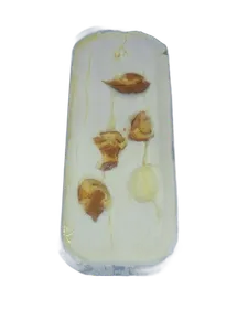 bacha tres leches S.F. triny