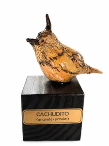 Cachudito