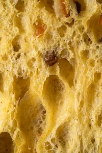 Panettone Tradicional