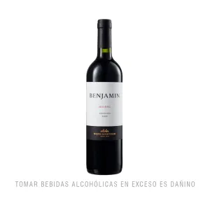 Vino Nieto Senetiner Benjamin Malbec X 750 Ml